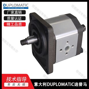 0140 20N 0070 0113R97F 齿轮泵 0095 意大利DUPLOMATIC迪普马GP2