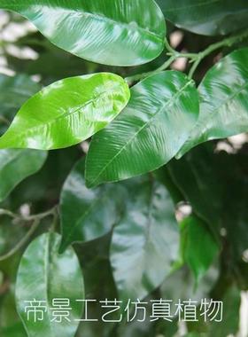 仿真大5杆过胶真手感装饰榕树干塑料大型盆景落地布14588景花园树