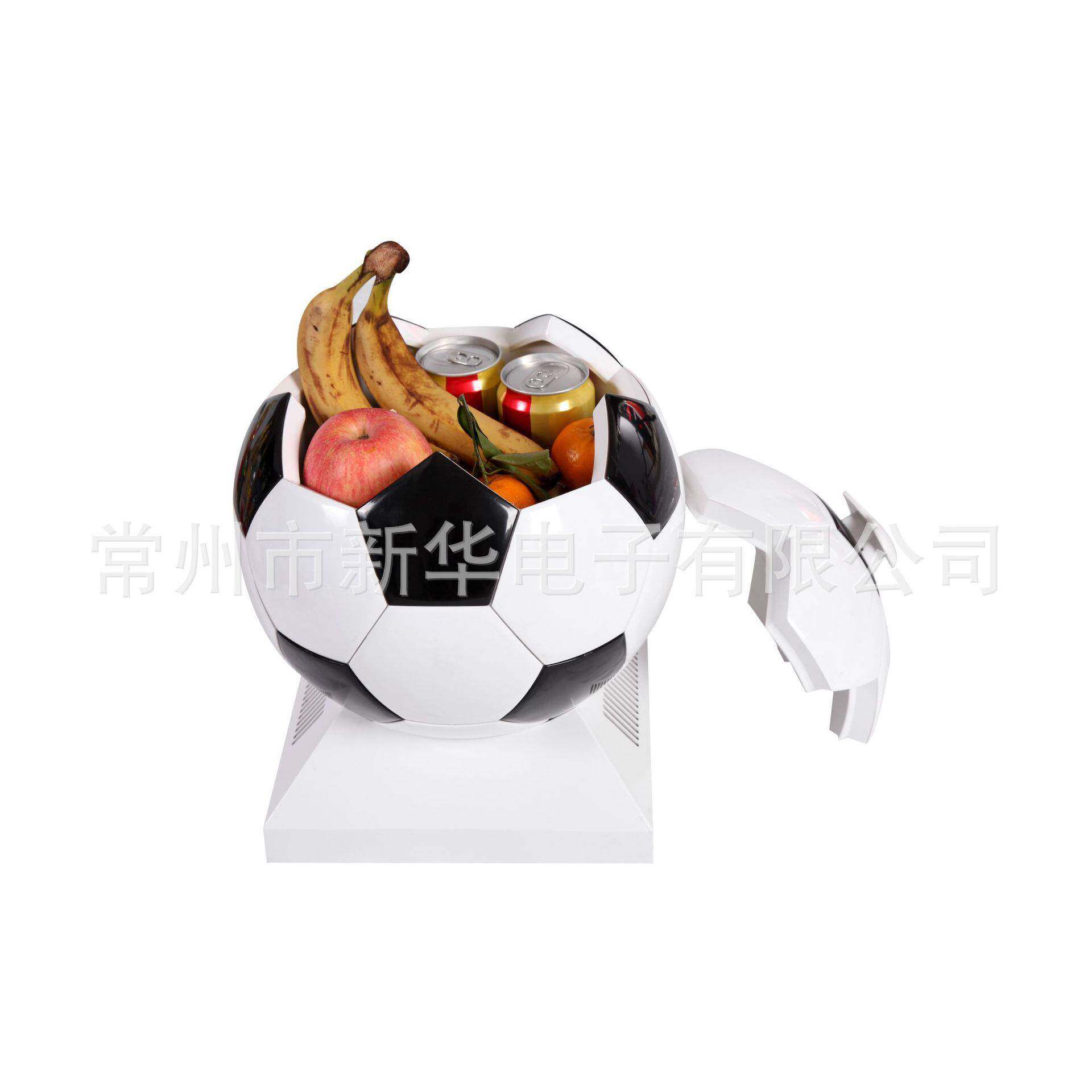 厂家直销8L冰足球309小冰冰箱，迷你箱，车载家用箱