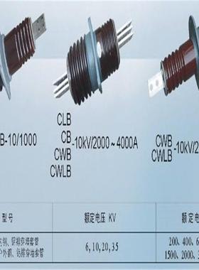 WCW-10/630-21CWWL-L0/100JHI0-2瓷穿墙套管厂家直供