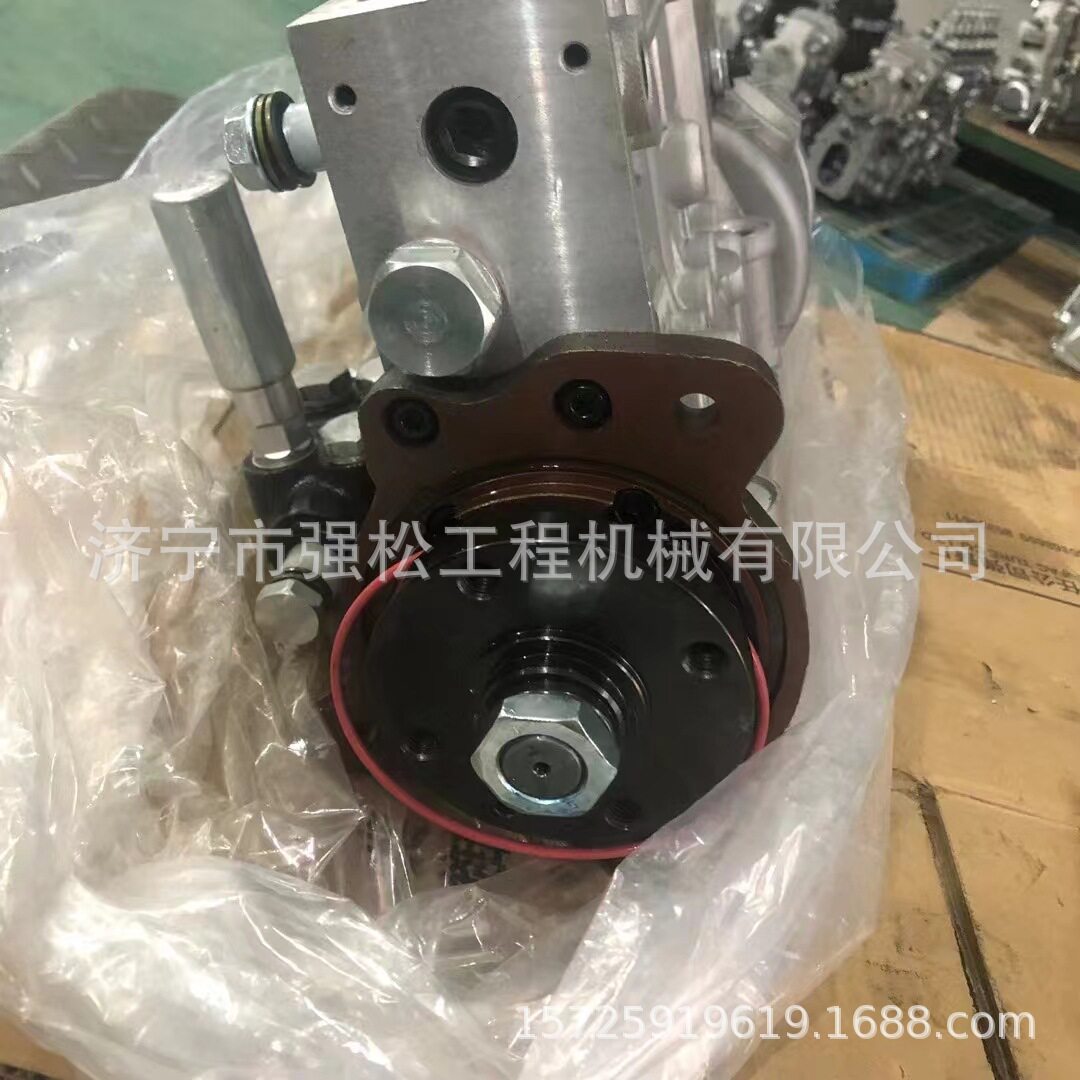 上柴BP5D28/BH6P110柴油泵