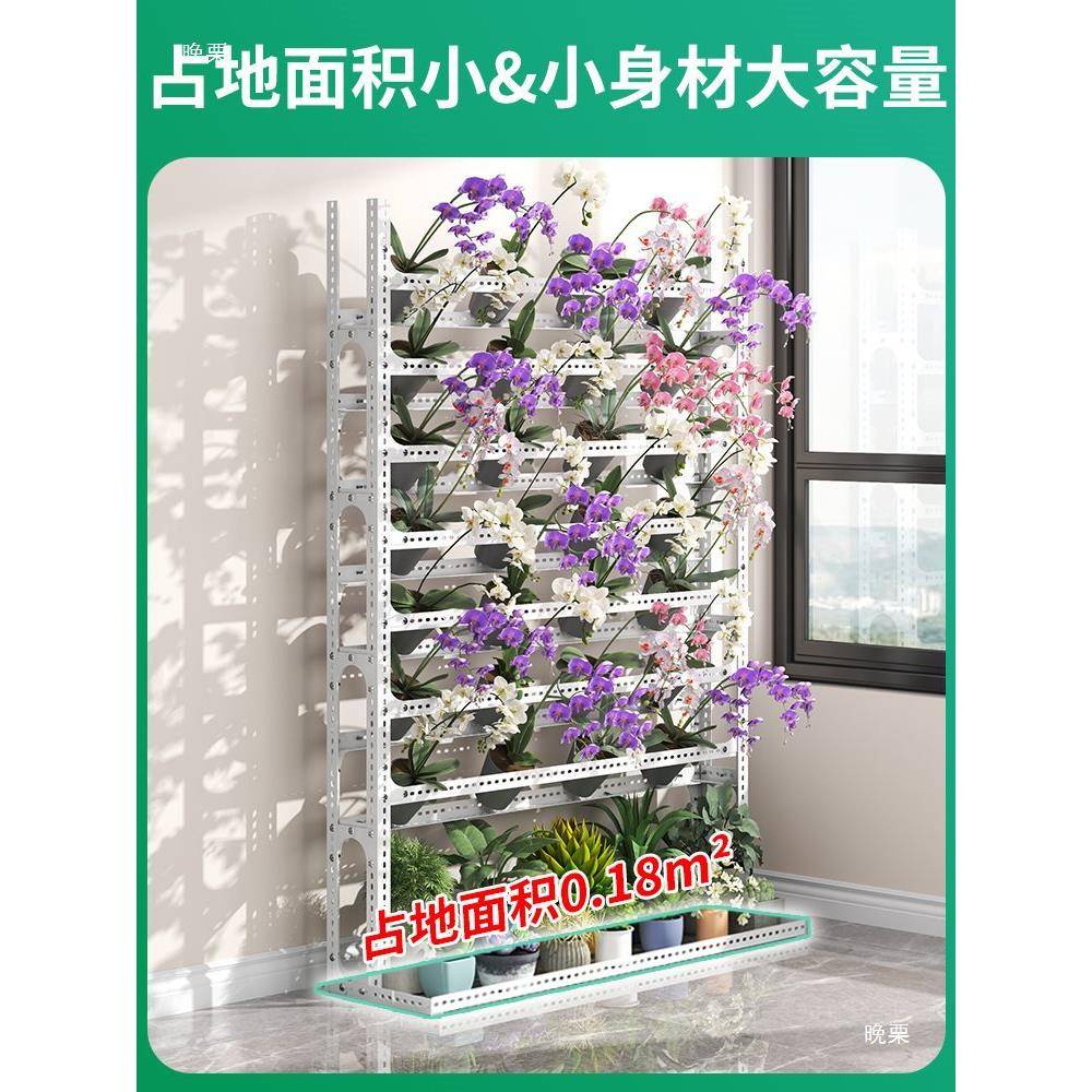 角钢蝴蝶兰花架置物由架移动兰花室外架内家子用多层落DS-573zx地