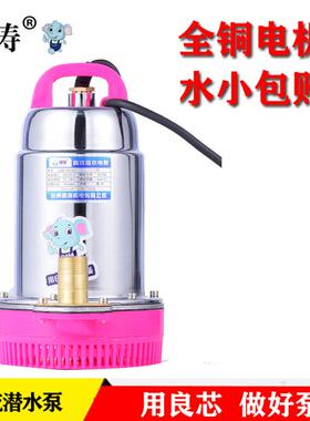 德涛用船12v直流微型潜v水65324不锈钢直泵流泵60V48v通用家用抽