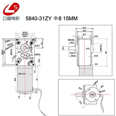 立1盛540-3调ZY微型直流减速电机FCT钢齿轮蜗杆速慢速马达12V248V