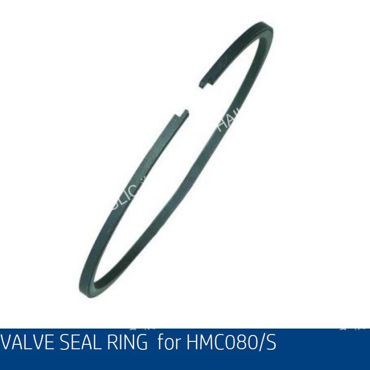 STAFFA HMC080/200/100 shaft seal油封轴封船舶马达轴封修理包