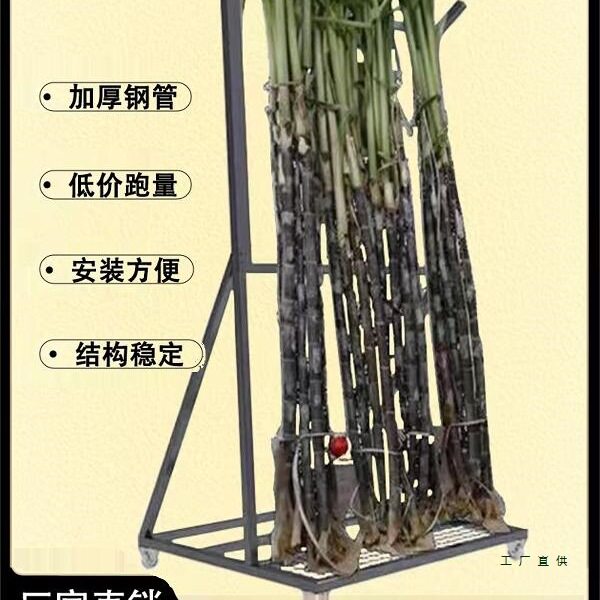 水果店放甘蔗架子立放展示架卖甘蔗摆放架斜放固定支撑超市陈列架