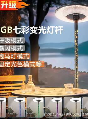 太阳能外灯庭院灯景观灯家用别墅户移动碟RG七B彩飞E10000照明路