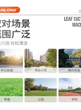 燃坦龙TDPT80SY油式电启动吸树叶机小区物业扫树叶收集树叶器清机