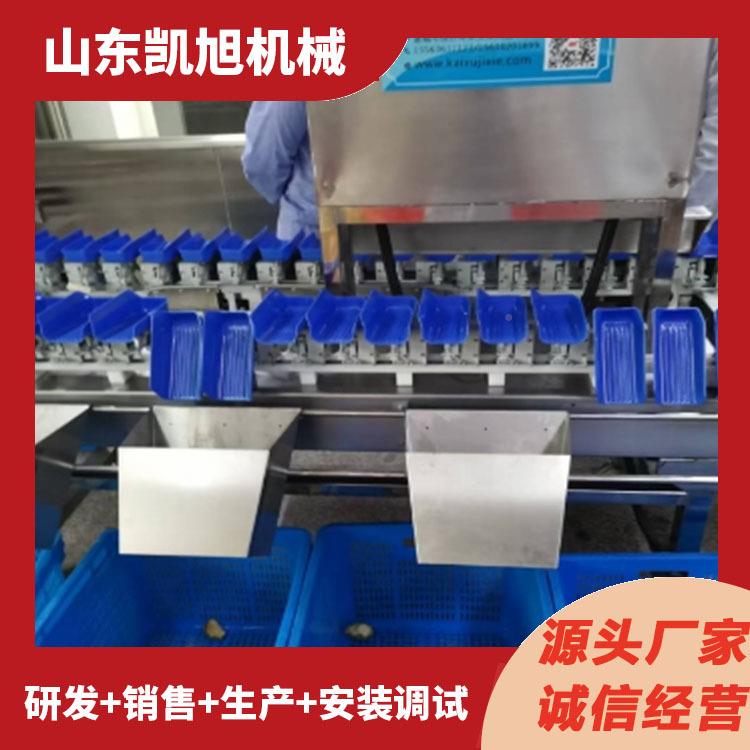 禽肉类分选机鸡胸RBL腿全自动重量排分拣机鸡肉鸡称重级机凯分旭