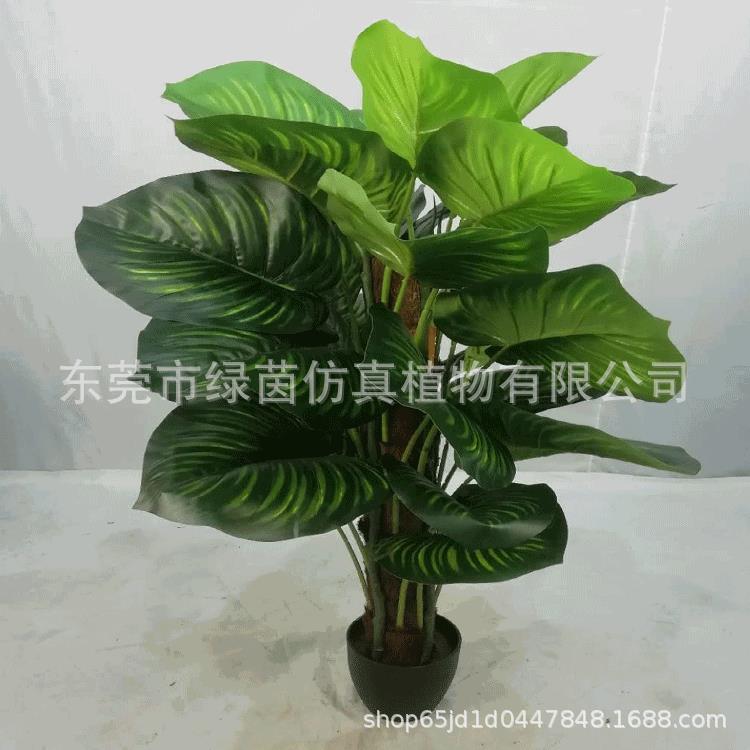 LV100仿真0绿萝4/9/120c盆景绿5植落地摆件m园林家居办公装饰植物