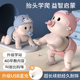 宝宝抬头训练玩具0 1岁新生宝宝益智早教练习爬行学说话学站儿童