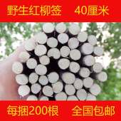 野生红柳签子40cm红柳木200根正宗新疆烤肉签子羊肉串红柳烧烤签