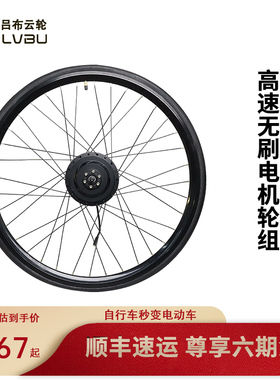 吕布云轮电机轮组250w350w优质高速无刷有齿永磁电机单车电动配件