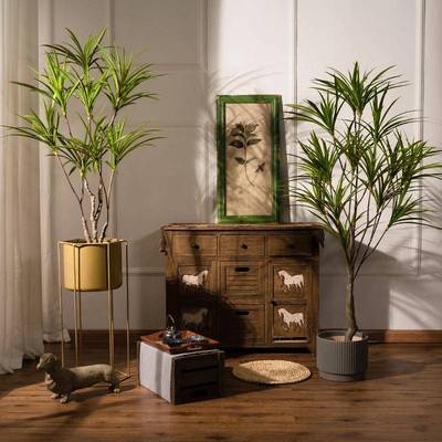 大仿T-21真龙血树木千年植型物假树盆栽家居室内厅橱窗落地装饰摆