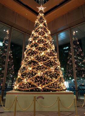大型户外大厅45/6/8米圣诞树广加/密套商餐REQ场酒店场装饰展厅布