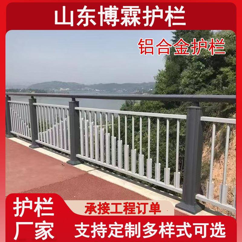 梁338桥防撞栏护河道道景观灯光铝合金护栏市政护路景观护栏