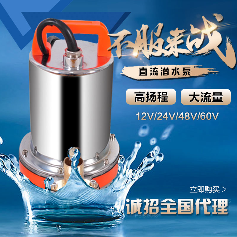 充电泵直流泵泵V2V8V00V72V高扬程潜水泵电动车抽水泵