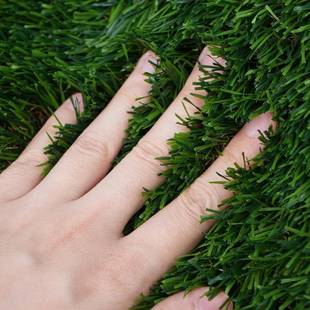 秋草仿真草坪RPO礼地毯人造仿真绿草幼儿园婚户外足球人工皮草场