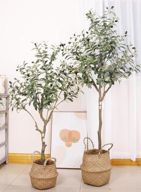 仿橄榄树盆栽真家居大型客假树QH-54011绿植厅室真内橱窗装饰仿树