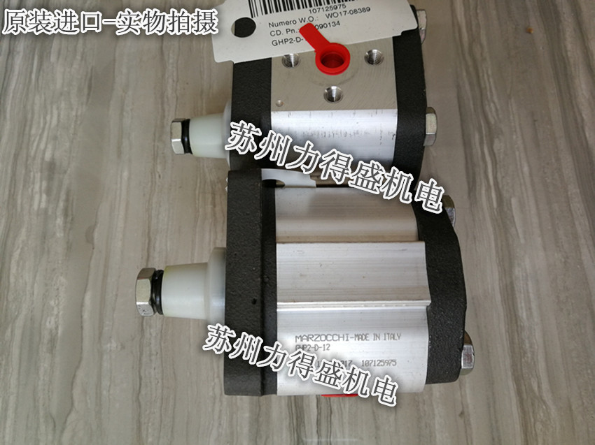 意大利马祖奇MARZOCCHI齿轮泵GHP1A-D-20-FG-V 实图拍摄