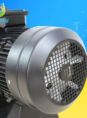 北沃BeautyWater工厂直销SUP系列豪华型过滤水泵海水专用泵