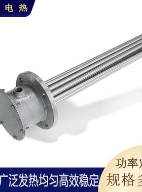 厂家直供电加热管功率加热大管温汽加热高管蒸法兰加IPQ热器