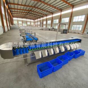 自动称重分选机海产600品全高精度盒式量分料级分选机重螃蟹分拣