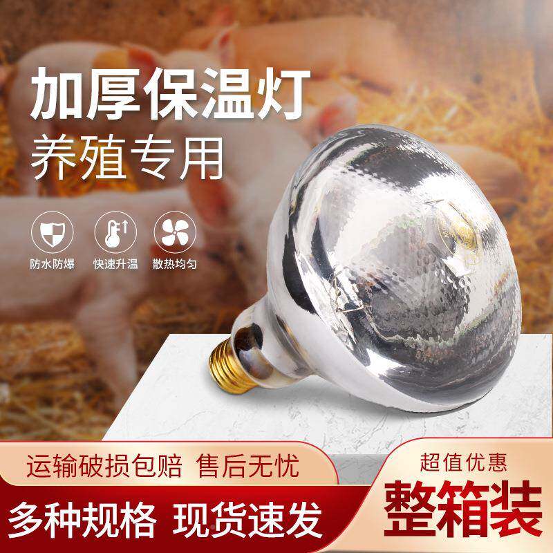 猪用保温灯养场加厚灯泡小鸡育殖雏仔加暖热烤灯无品牌/小猪取暖