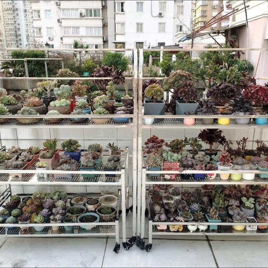 阳台可移动花架户外庭院带雨棚带轮不锈钢花架组合多肉专用花架子