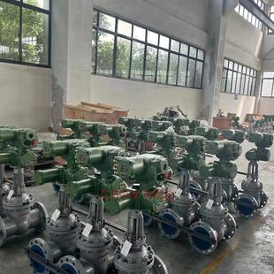 单闸板 DN250矿用隔爆型电动闸阀 煤矿井下用电动闸阀 40C MZ941H