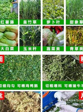 小用型家切草机碎草机猪草机草机杆钢粉碎鸡鸭牛KYW羊养殖不锈铡