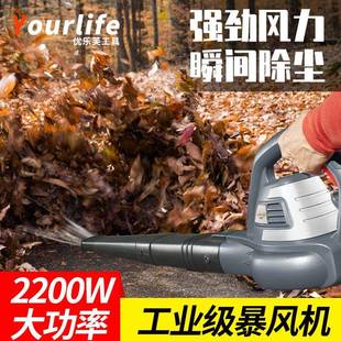 优乐芙脑吹风907机鼓风机灰小型吹除尘电器用清灰家大功率