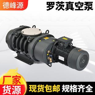 厂家直供罗茨真空泵 工业用大抽速蒸馏真空泵 真空浓缩机械增压泵