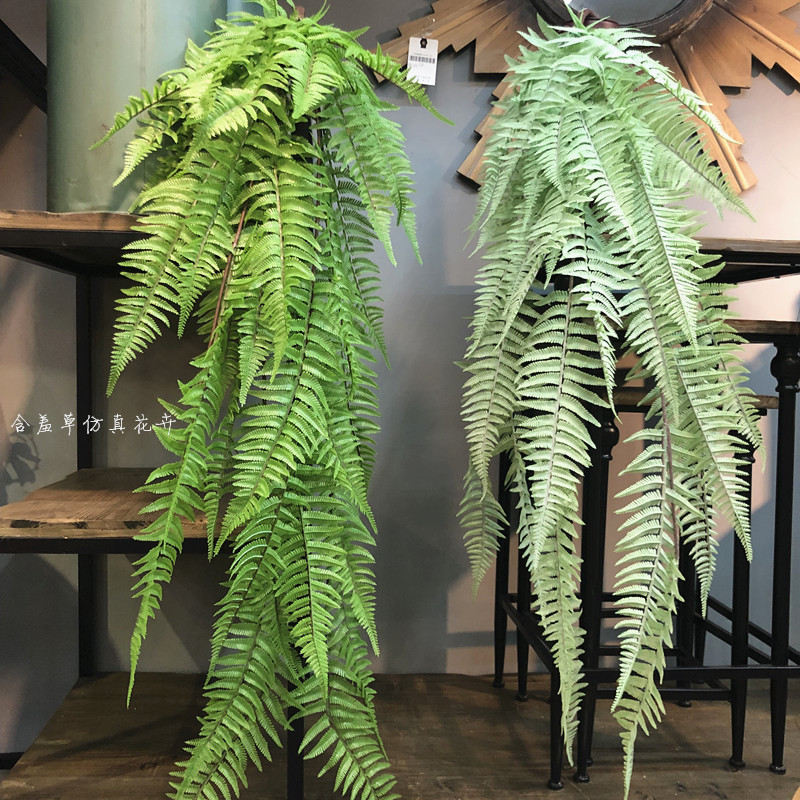 仿真大蕨草蕨叶蕨类植物工程造景绿植壁挂酒店软装绿植婚庆装饰藤