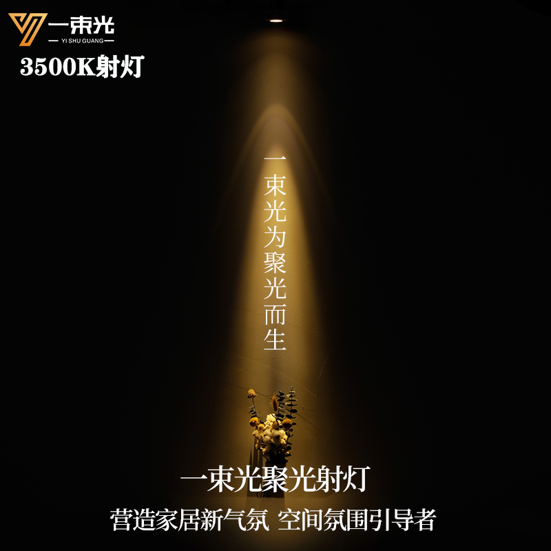 一束光聚光射灯小角度3度5度8度15度光束角3500K嵌入式茶室玄关灯