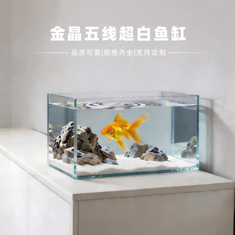 桌面金晶超白玻璃鱼缸家用客厅小型造景乌龟缸爬行宠物专用缸