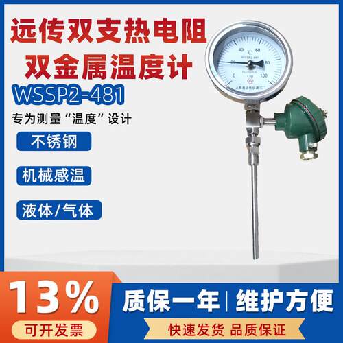远传双支热电阻双金属温度计WSSP2-481万向1级精度电力厂温度仪表