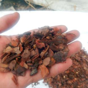 发酵松树皮松鳞 铁皮石斛枫斗苗兰花盆栽种植专用 基质肥料营养土