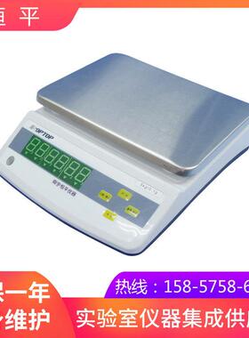 上海恒平 YP6001N 电子天平