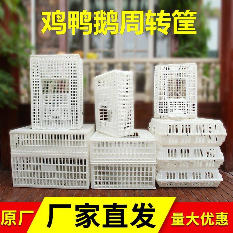 周转笼 家禽塑料笼子 鸡鸭鹅运输笼 养殖场家禽笼鸡用塑料鸡笼