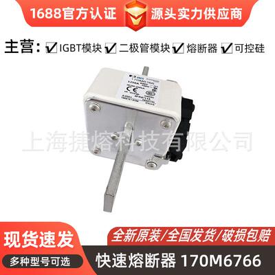170M6766 170M6808 快速熔断器 保险丝 电子元器件 量大价优