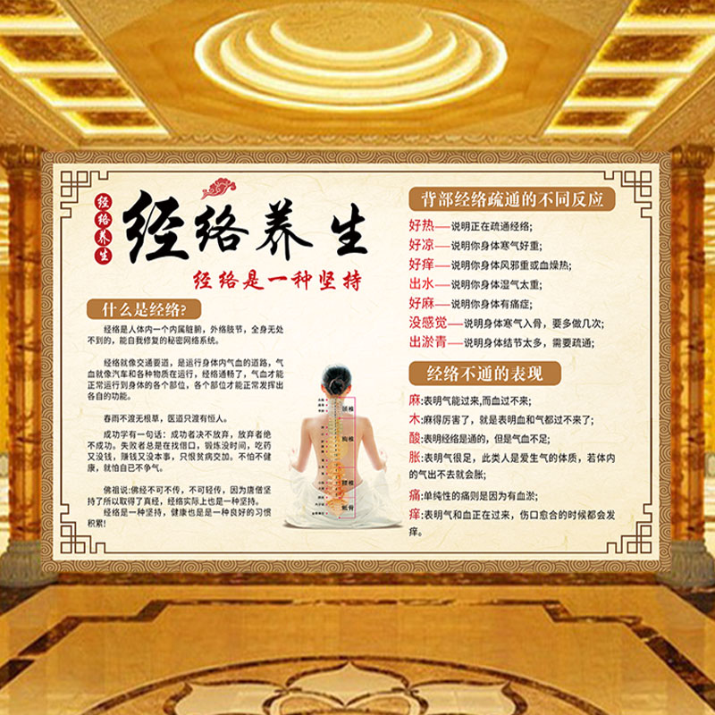 经络养生图简介壁纸中医馆诊所背景展板海报装饰壁画推拿理疗墙纸