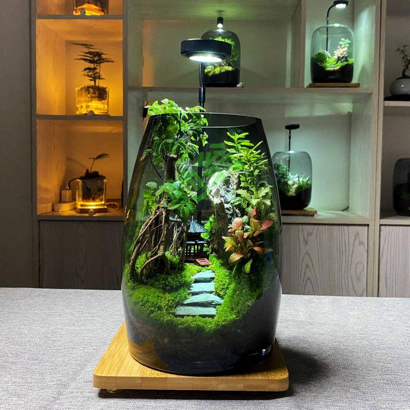 yut万重山创意桌面苔藓植物景观办公室盆景好养绿植生态造景盆栽