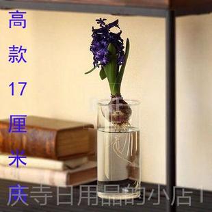 高档日式信多肉植物水养玻璃花瓶绿绿水培植风子插花萝器家居装饰