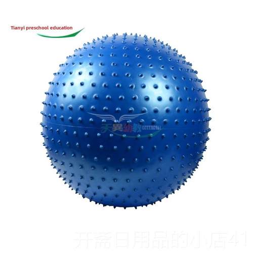 正品感官训儿练益智早玩具龙珠传统教童家庭健身器材按摩瑜伽球