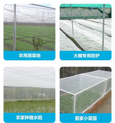 加厚高密度小网眼防虫网果树防鸟网水稻育秧网网纱透气防尘窗纱网