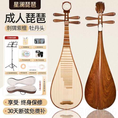 高档高端手器工刺猬紫檀琵琶乐成人级初学定检考试专业演奏琴