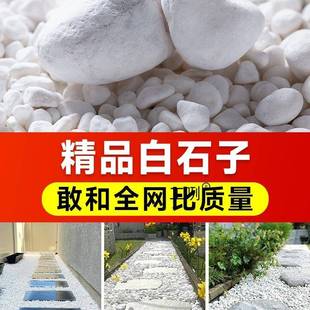 白石子南京雨花石天然原石鱼缸石头子铺底白色鹅卵石颗粒铺路造景