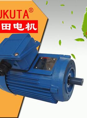 AMVB系列0.37W三相异步铝壳电机FUUTA立式三相马达