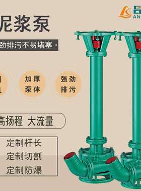 NL立式泥浆泵厂家 鱼塘河道污泥清淤泵 长轴矿用防爆液下抽砂泵